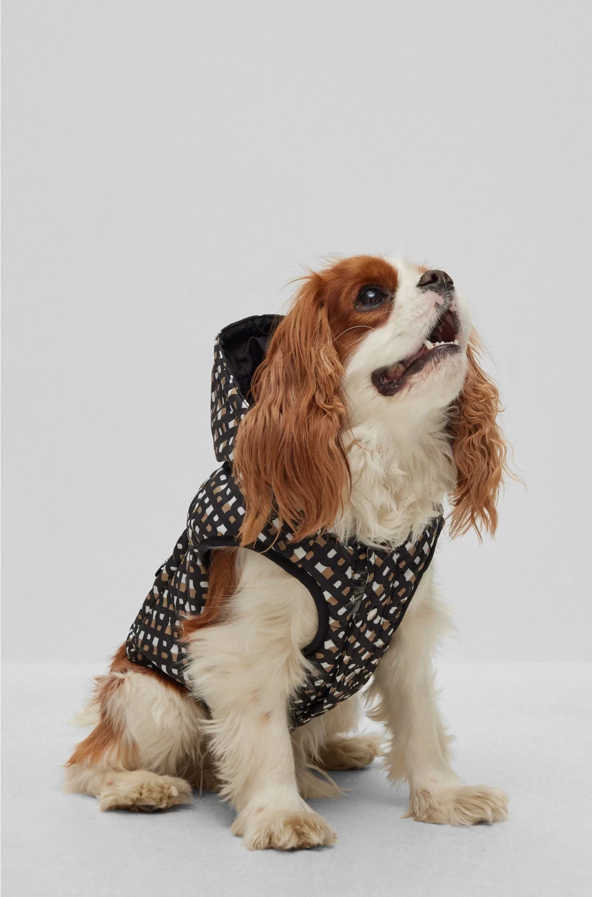 DOG WATER-REPELLENT PADDED JACKET