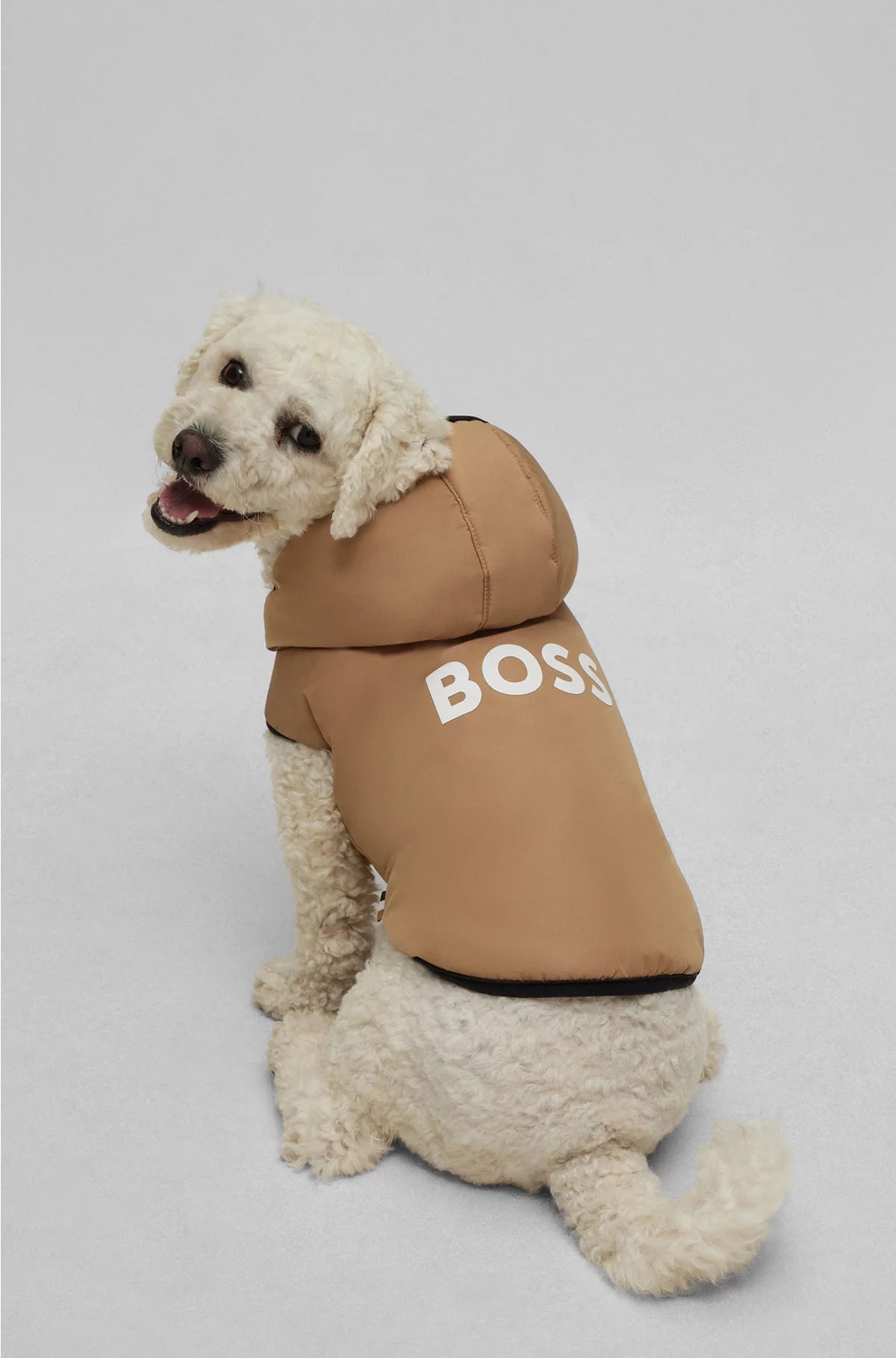 DOG LIGHTWEIGHT JACKET WITH LOGO DETAILING