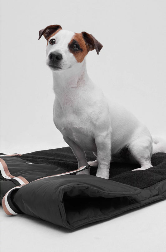 PORTABLE DOG MAT WITH SHERPA LINING