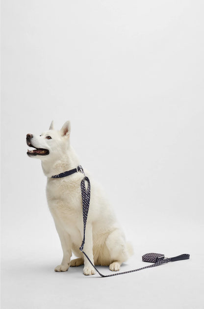 DOG COLLAR WITH METAL HARDWARE