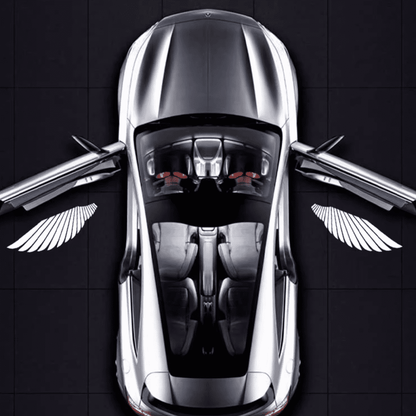 Angel Wing Car Door Lights